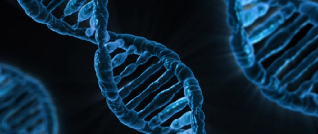 Kako okoliš utječe na našu DNA? Prekidači za gene i opasnost pokušaja pomlađivanja