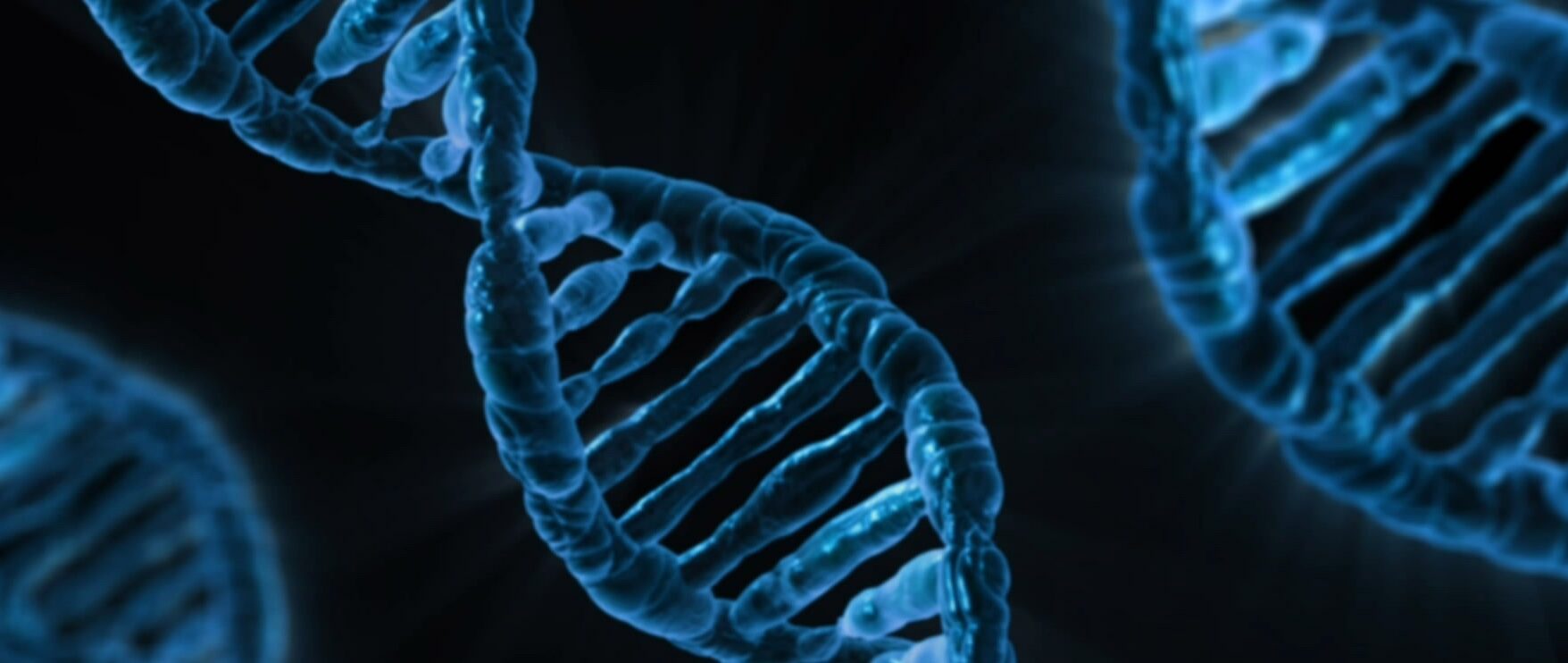 Kako okoliš utječe na našu DNA? Prekidači za gene i opasnost pokušaja pomlađivanja