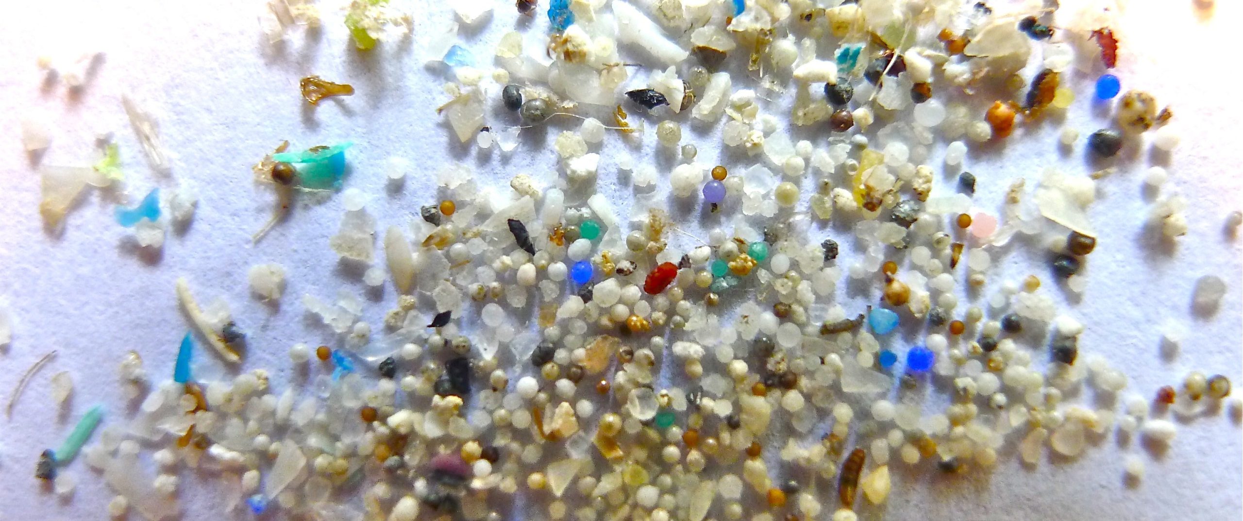 Još jedna izgubljena bitka tehno-civilizacije. Osveta plastike