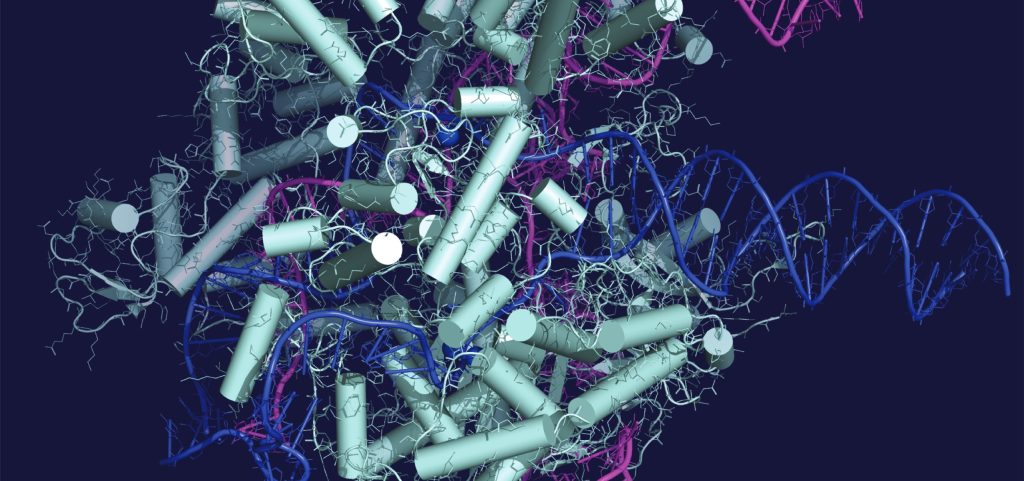 Iskoraci u liječenju rijetkih bolesti i Down sindroma. Terapije tehnologijom CRISPR-Cas9