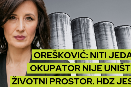 Dijalektički proces proizvodnje smisla. Razgovor s Nadeždom Čačinovič