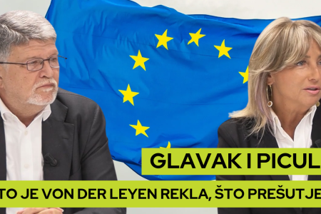 N. Čačinovič o mogućnosti razgovora sa Ž. Markić: argumenti, sumnja i sklonost priklanjanju većini
